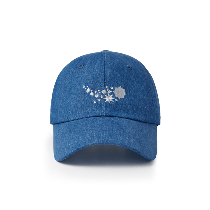 2025 BTS FESTA X WEVERSE - OFFICIAL MD
