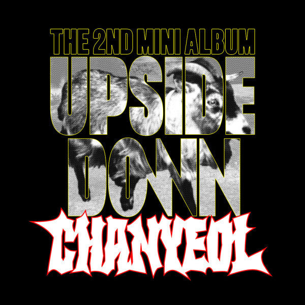 CHANYEOL - Upside Down (Selfie Ver. Smart Album) - 2nd Mini Album
