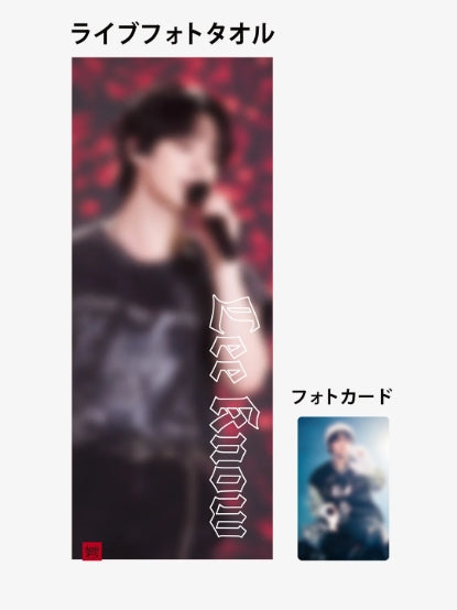 STRAY KIDS WORLD TOUR "dominATE JAPAN" - LIVE PHOTO TOWEL