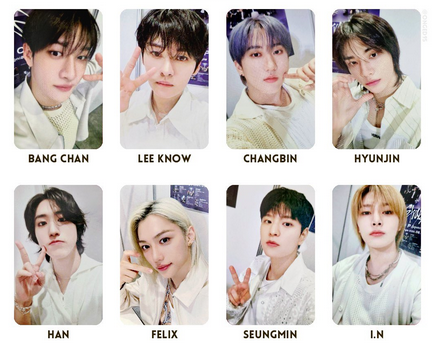 STRAY KIDS - CASE + PHOTOCARDS SET BENEFIT RENEWAL FANCLUB JAPAN