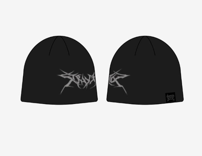 STRAY KIDS - dominATE SEOUL WORLD TOUR OFFICIAL MERCH