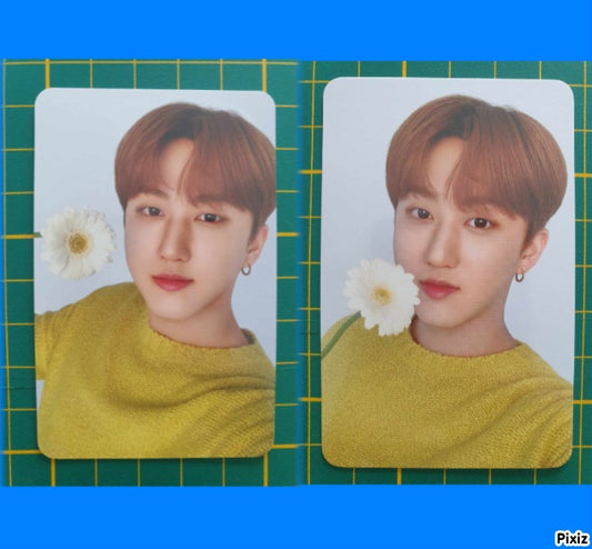 STRAY KIDS X NACIFIC CHANGBIN VER.