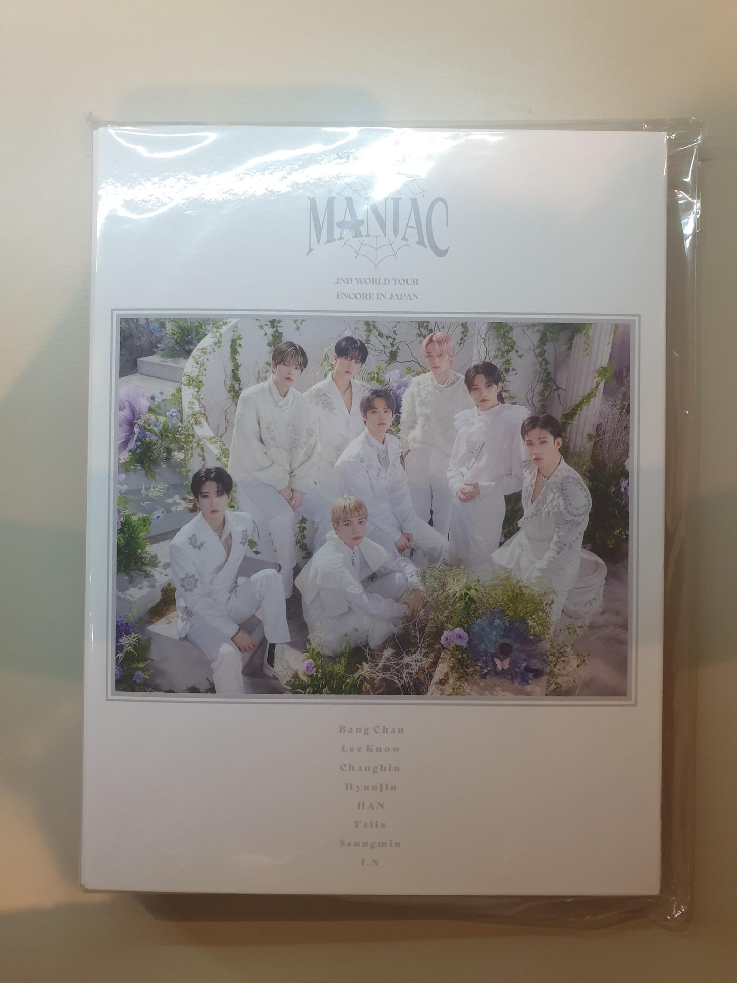 STRAY KIDS 2ND WORLD TOUR ENCORE IN JAPAN TRADING CARD CASE