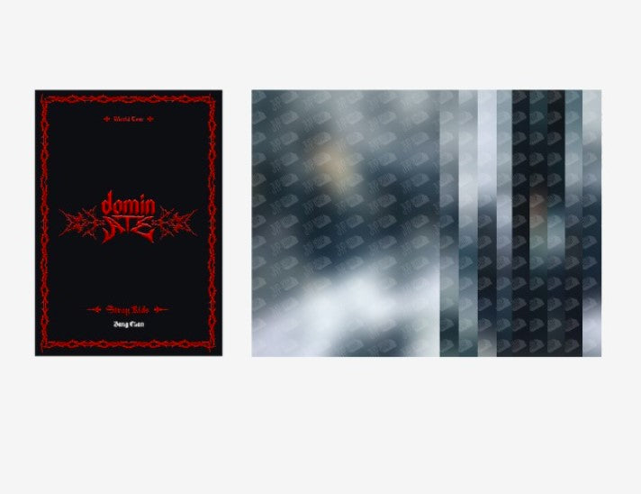 STRAY KIDS - dominATE SEOUL WORLD TOUR OFFICIAL MERCH (MEMBER VER.)