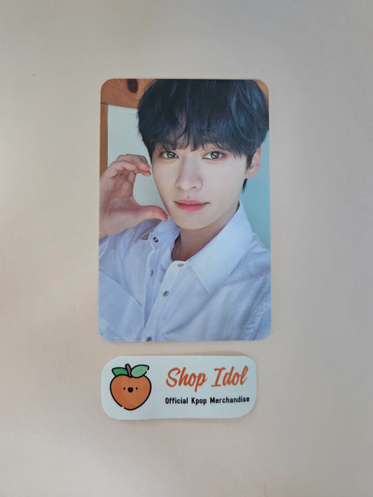 Stray Kids Photocard Nacific Leeknow