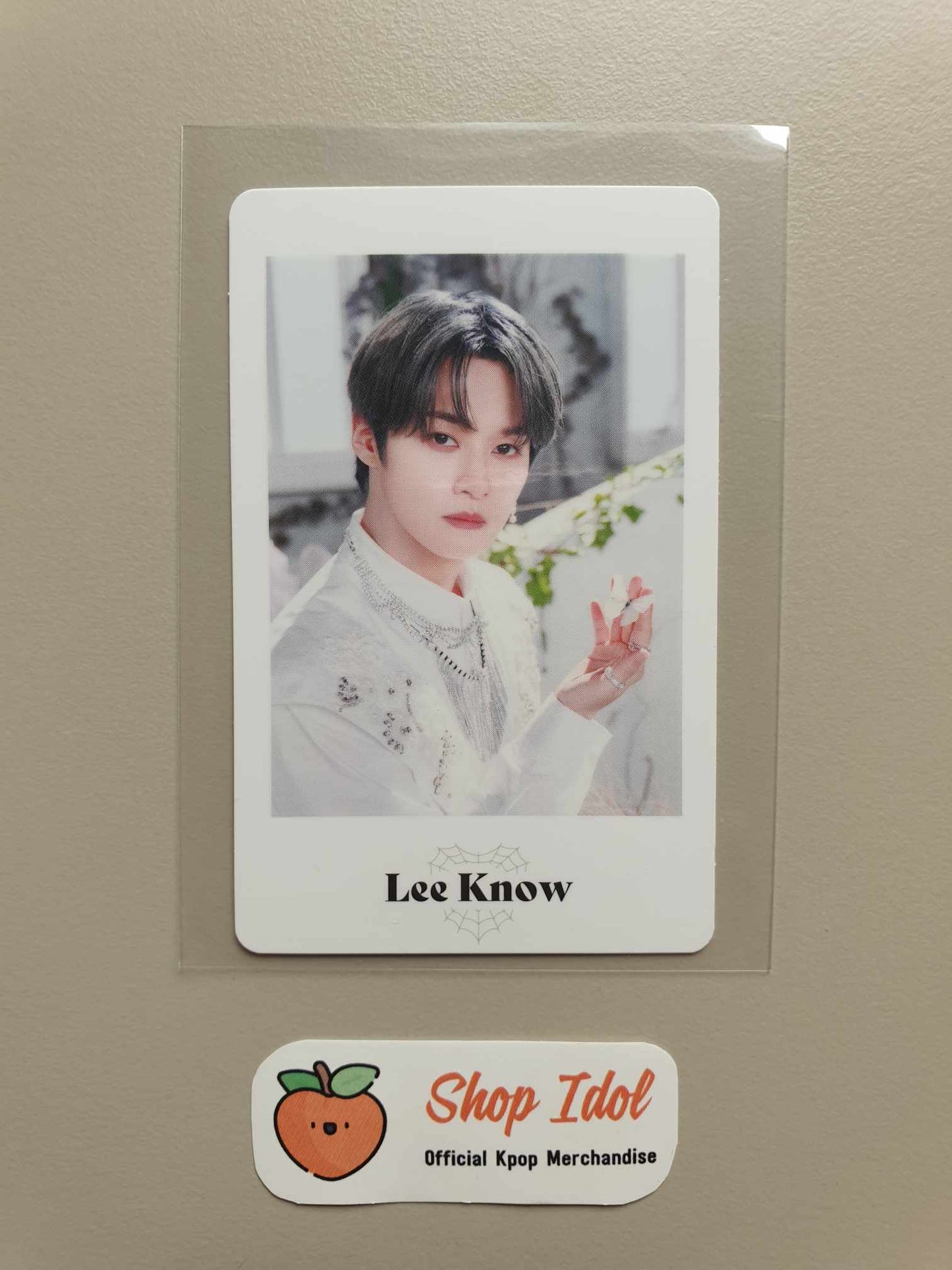 Stray Kids Leeknow Photocard Maniac