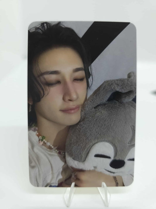 Stray Kids World Tour DominATE CelebrATE POP-UP MD Reward Benefit Photocard