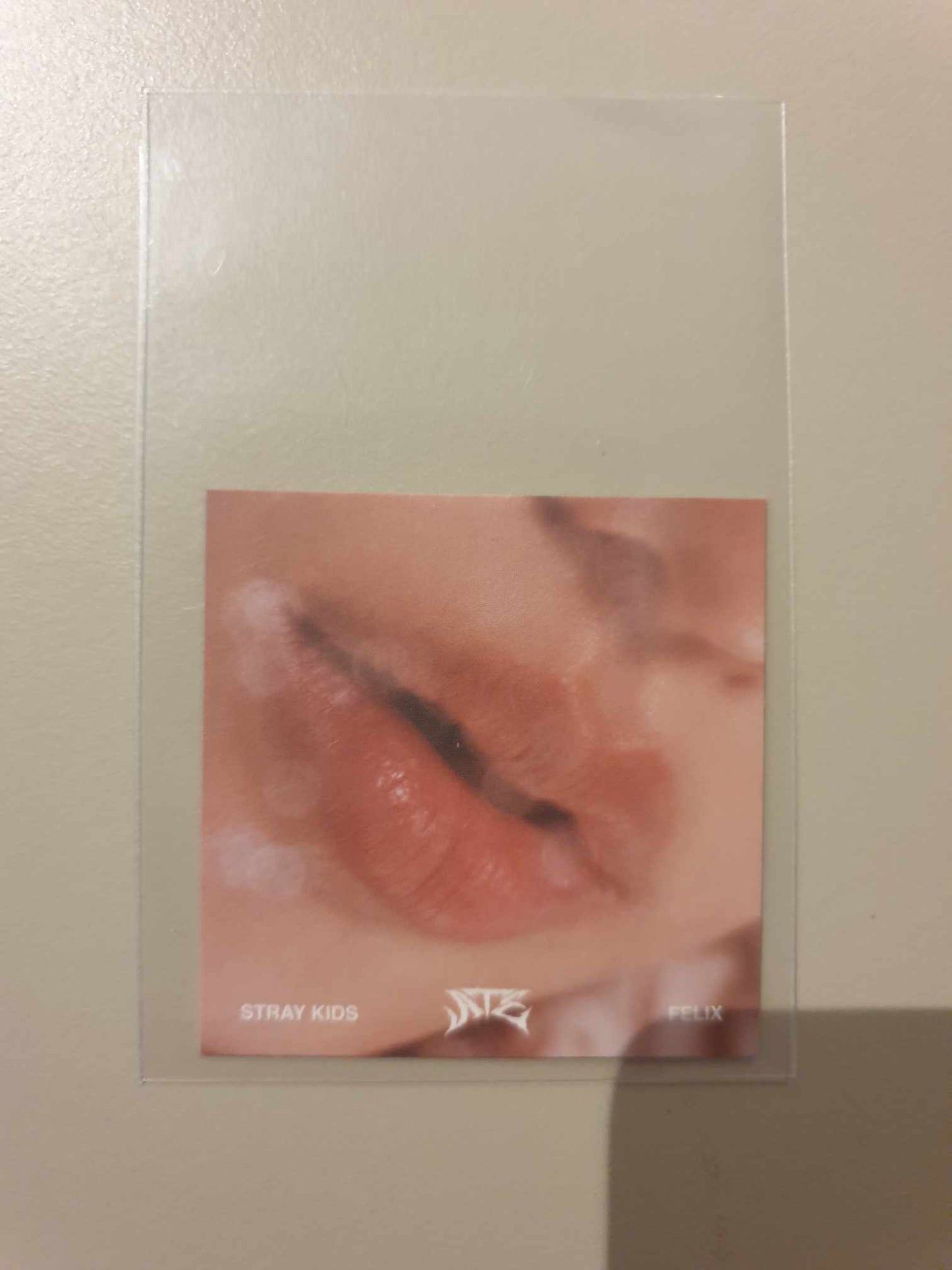 STRAY KIDS FELIX - MINI LIP CARD (ATE)