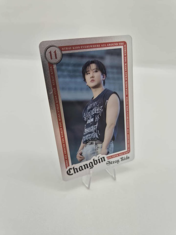 STRAY KIDS - LIVE PHOTOCARD "WORLD TOUR DOMINATE JAPAN" Merch