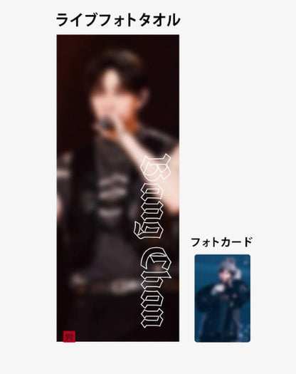 STRAY KIDS WORLD TOUR "dominATE JAPAN" - LIVE PHOTO TOWEL