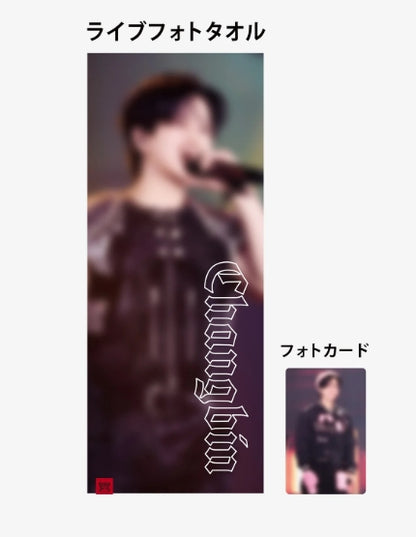 STRAY KIDS WORLD TOUR "dominATE JAPAN" - LIVE PHOTO TOWEL