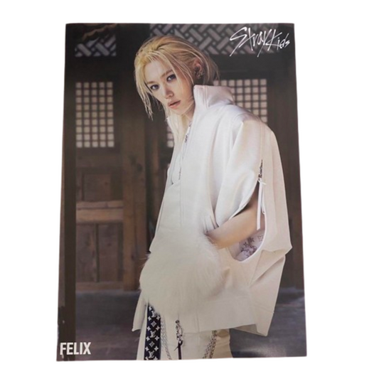 STRAY KIDS FELIX - HOP FLYER TOWER RECORDS POB