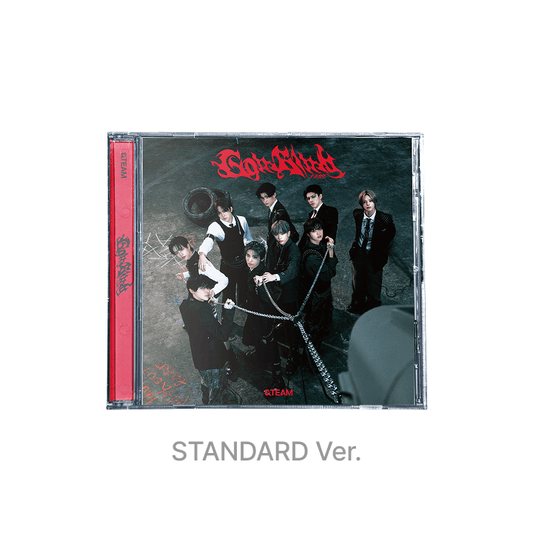 &TEAM - 3rd single [Go In Blind] [Regular Edition] JAPAN