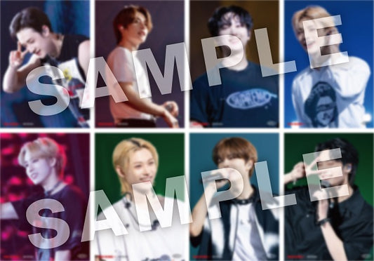 [PRE-ORDER] Stray Kids - 2nd World Tour "Maniac" Encore in Japan (Regular Edition)