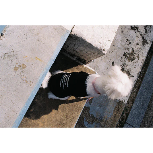 [LAYOVER]PET T-SHIRT (CHECKLIST) (black)