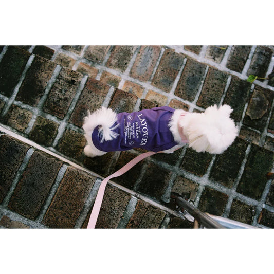 [LAYOVER]PET T-SHIRT (LAYOVER) (purple)