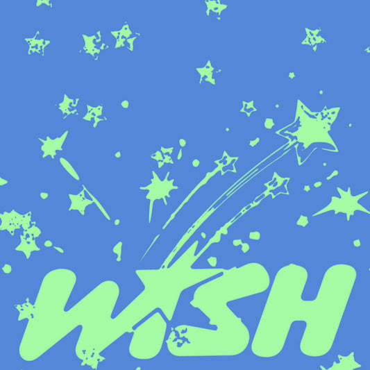 [PRE-ORDER]  NCT WISH - Wish (Single Album) Keyring Ver. SMART ALBUM