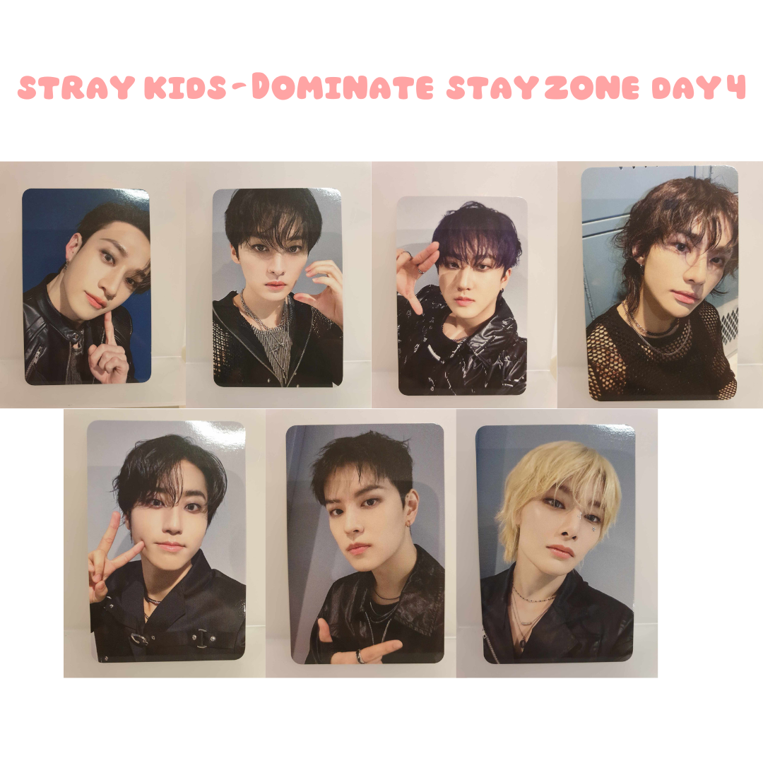 STRAY KIDS - DOMINATE STAY ZONE DAY 4 POB