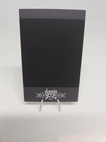 Stray Kids - dominATE SEOUL Blu-ray/DVD Instant Photocard