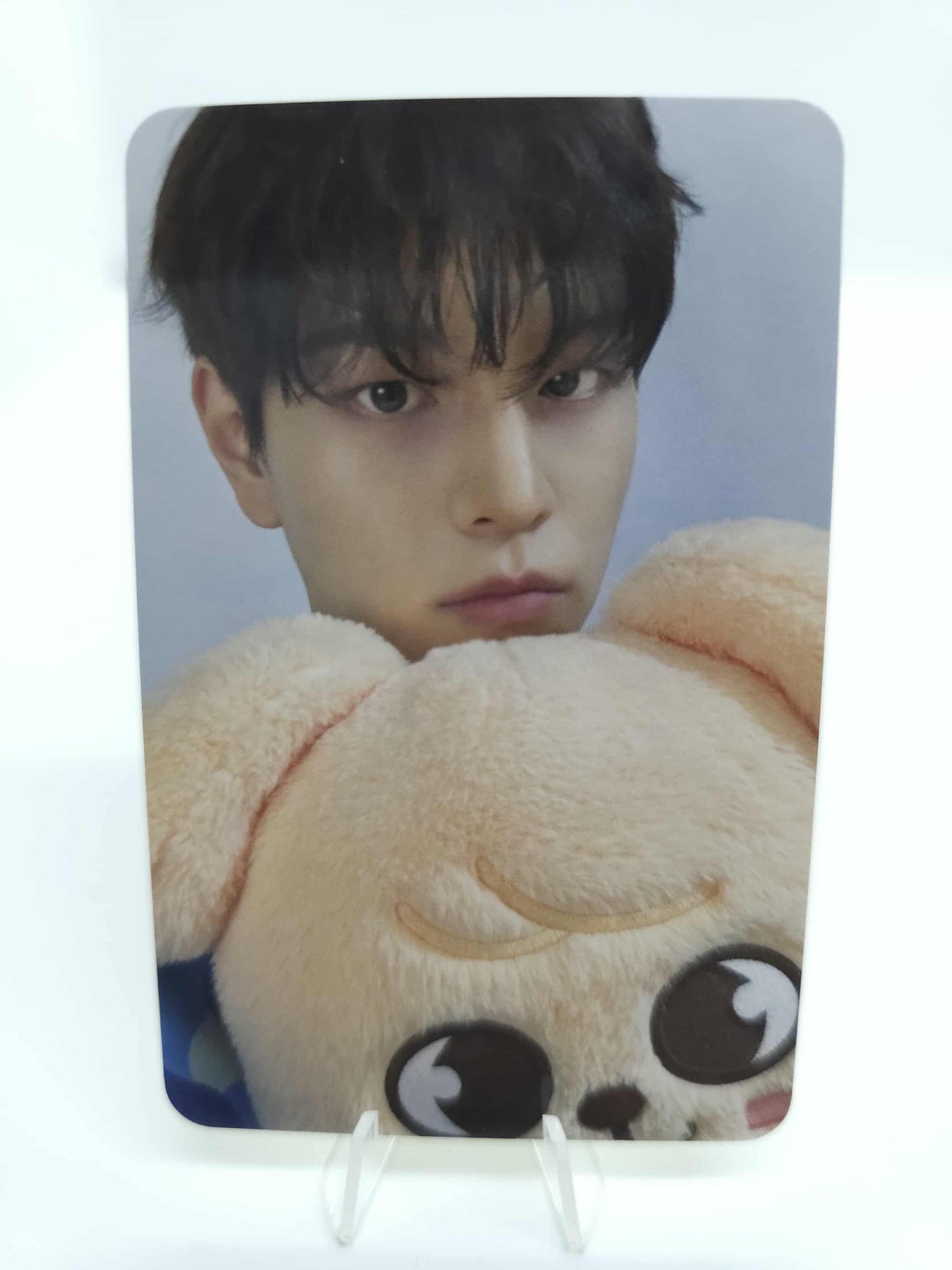 Stray Kids World Tour DominATE CelebrATE POP-UP MD Reward Benefit Photocard