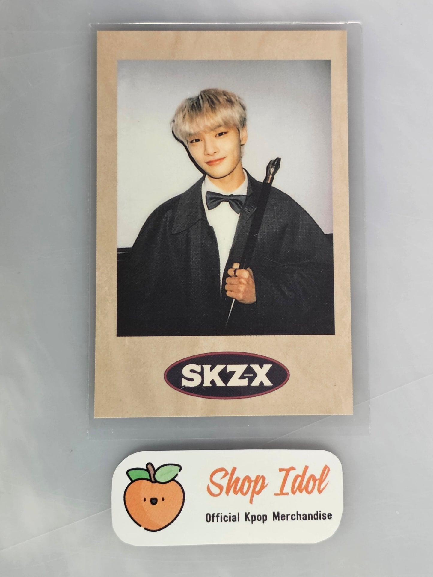 IN Stray Kids SKZ-X POB POLAROID