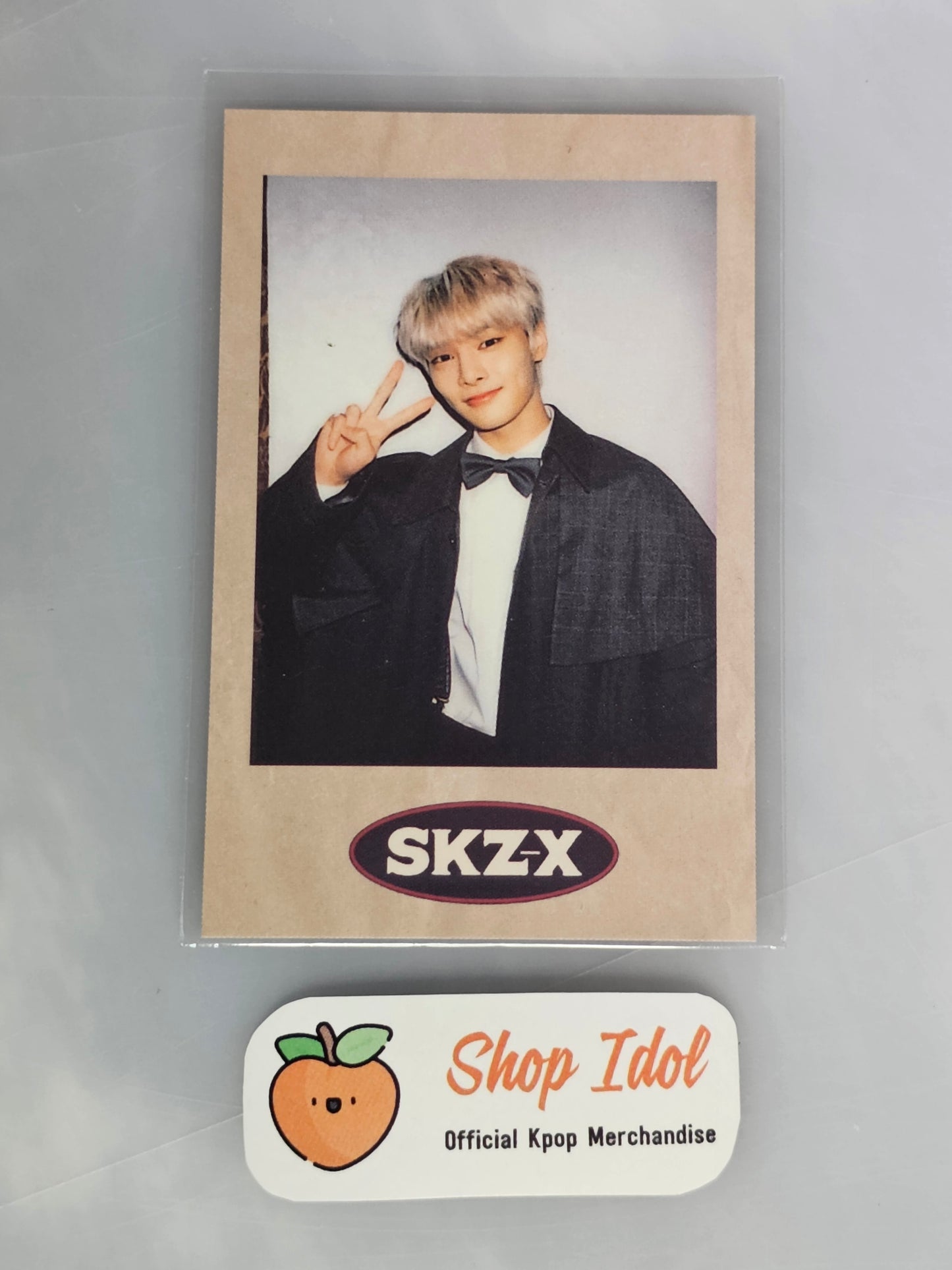 IN Stray Kids SKZ-X POLAROID POB