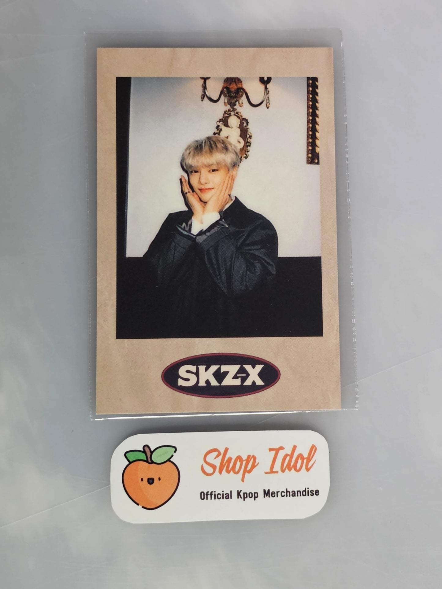 IN Stray Kids SKZ-X POLAROID POB