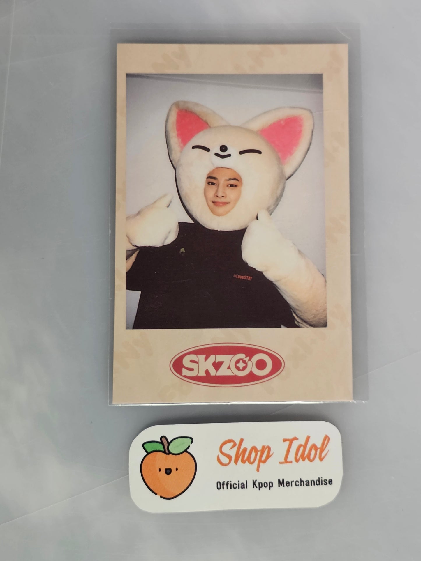 IN Stray Kids SKZOO POLAROID POB