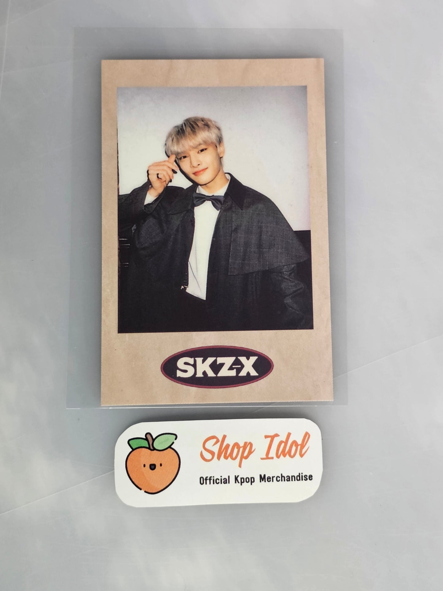 IN Stray Kids SKZ-X POLAROID POB